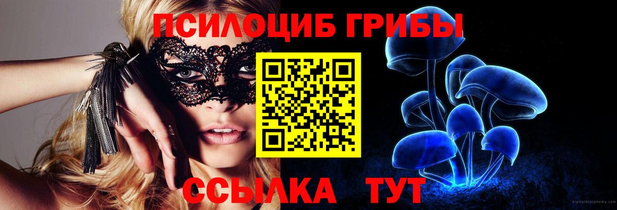 Ульяновск  Псилоцибиновые грибы мицелий  Вход с VPN 